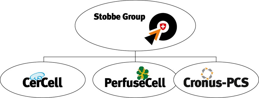 Stobbe Group structure